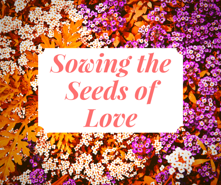 Sowing the Seeds of Love