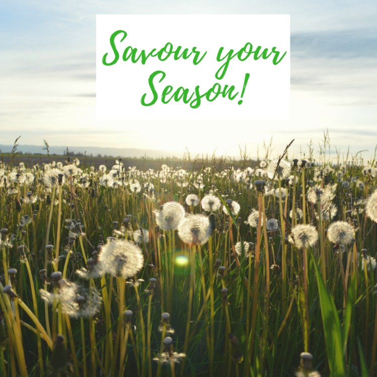 Savour your Season