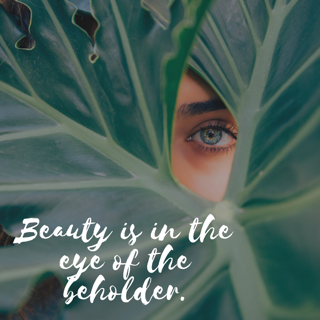 Beauty is in the eye of the Beholder